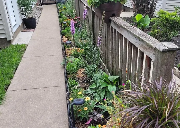 Comfy Garden In Andersonville