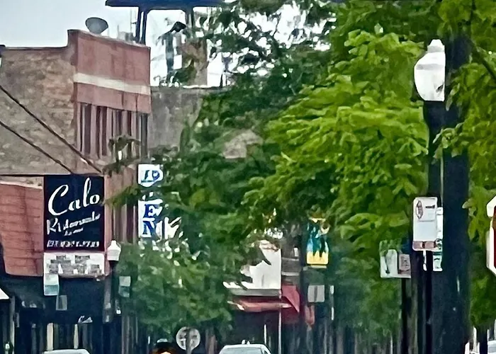 Comfy Garden In Andersonville