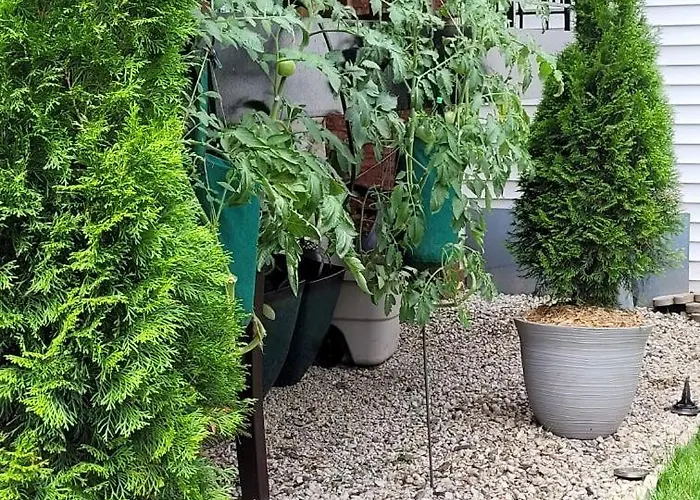 Comfy Garden In Andersonville Apartamento